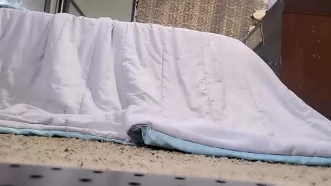 Bootyshows online show from 02/20/26, 03:45