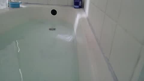 Bootyshows online show from 02/22/26, 02:48