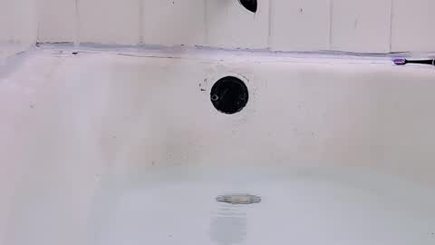 Bootyshows online show from 03/01/26, 09:17