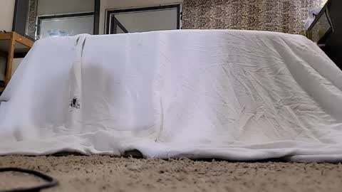 Bootyshows online show from 03/12/26, 11:27