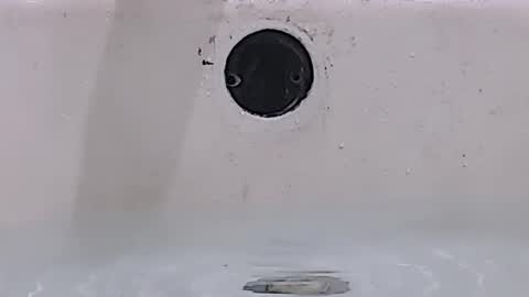 Bootyshows online show from 03/15/26, 01:28