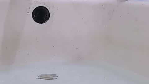 Bootyshows online show from 03/16/26, 11:58