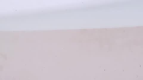 Bootyshows online show from 03/22/26, 08:12