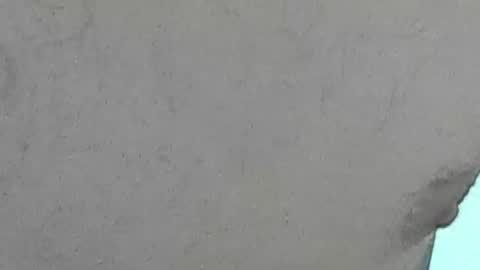 Bootyshows online show from 07/28/26, 06:20