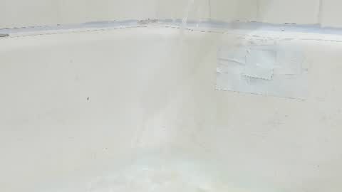 Bootyshows online show from 08/04/26, 03:58