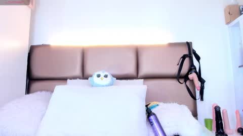 Snapshot of janette_rider_ chatting on 02/15/25, 03:31 Janette online show from 02/15/25, 03:31