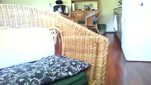 jani56 online show from 05/06/26, 06:19