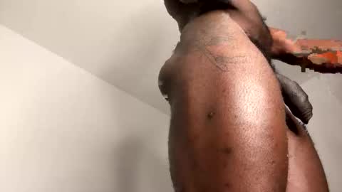 Janstallionx Independent official account online show from 02/12/26, 09:43