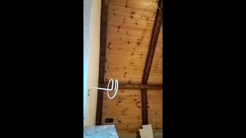 qjny online show from 03/25/26, 05:30