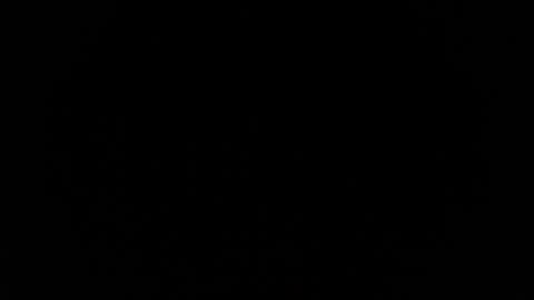 jasmine_star12 online show from 01/12/26, 07:30