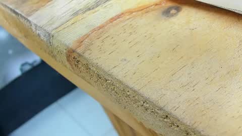 jason_and_diego online show from 04/13/26, 11:43