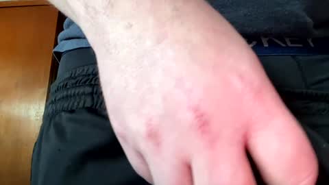 Jaws  online show from 12/30/24, 08:04