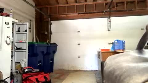 Jaws  online show from 09/12/25, 07:36