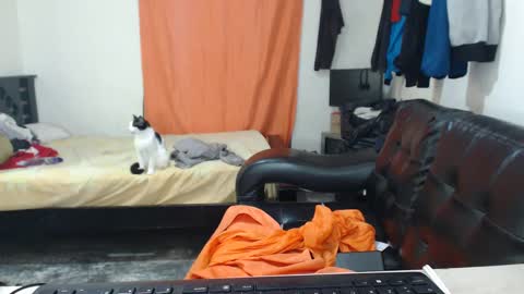 jaxivh16 online show from 10/11/25, 03:17