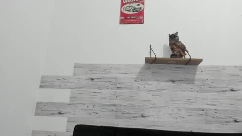 Jaycreedd online show from 02/20/25, 04:39