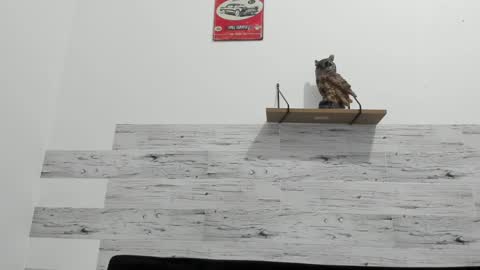 Jaycreedd online show from 02/22/25, 03:23