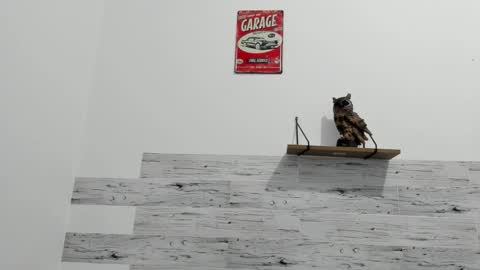 Jaycreedd online show from 02/23/25, 03:56