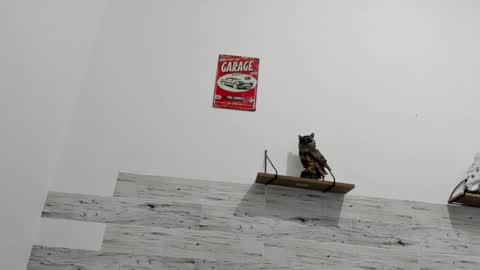 Jaycreedd online show from 03/08/25, 02:34