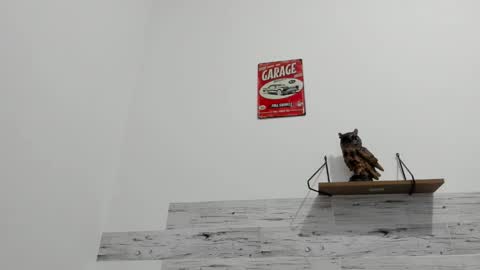 Jaycreedd online show from 09/29/25, 12:38