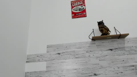 Jaycreedd online show from 10/12/25, 10:09