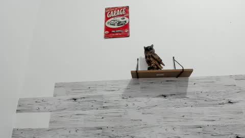 Jaycreedd online show from 11/25/25, 02:11