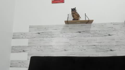 Jaycreedd online show from 12/05/25, 04:10