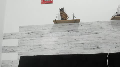Jaycreedd online show from 04/28/26, 03:22