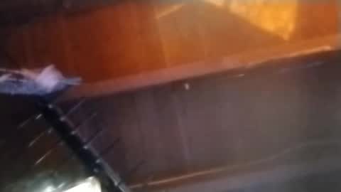 Meetmyfreak online show from 02/14/25, 10:17