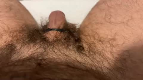 jbfatcock12345 online show from 08/09/26, 09:42