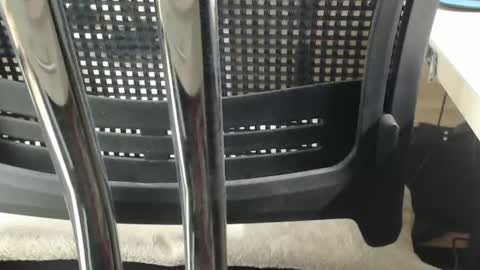 Snapshot of jc200000 chatting on 02/17/25, 06:37 jc200000 online show from 02/17/25, 06:37