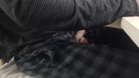 Snapshot of jc200000 chatting on 11/03/25, 06:31 jc200000 online show from 11/03/25, 06:31