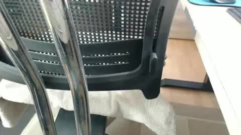 jc200000 online show from 04/21/26, 05:28