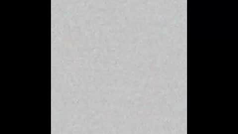 JcMax305 online show from 02/19/26, 07:26