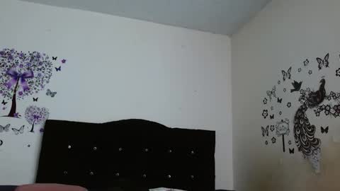 Snapshot of jeff_and_jade chatting on 11/17/25, 09:26 jeff and jade online show from 11/17/25, 09:26