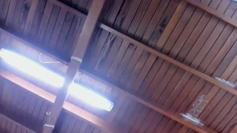 jeicob gagnon online show from 01/28/25, 04:30