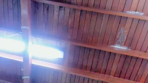 jeicob gagnon online show from 02/12/25, 04:00