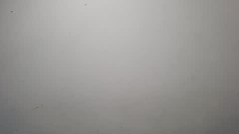 Snapshot of jeisonhoz chatting on 10/13/25, 01:49 jeisonfit online show from 10/13/25, 01:49