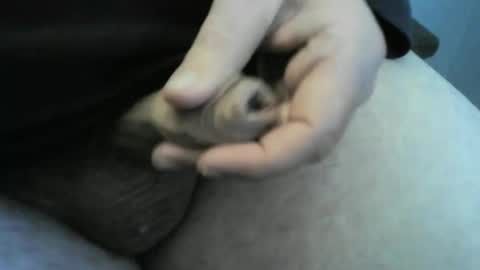 Snapshot of jellydaddy57 chatting on 01/24/25, 01:03 jellydaddy57 online show from 01/24/25, 01:03