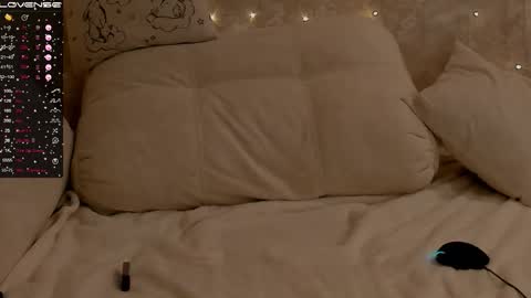 Snapshot of jeniferji chatting on 03/19/26, 01:37 EvaSileZ online show from 03/19/26, 01:37
