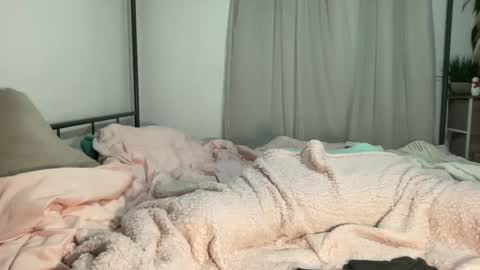 Snapshot of jenni_cash chatting on 12/11/24, 06:47 Mistress Jenni online show from 12/11/24, 06:47