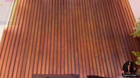     online show from 03/11/25, 11:44