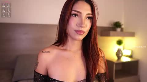     online show from 07/11/26, 12:30