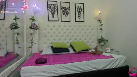 jenny_stark online show from 11/14/25, 11:20