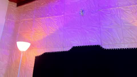  Jenny  online show from 03/26/26, 11:16