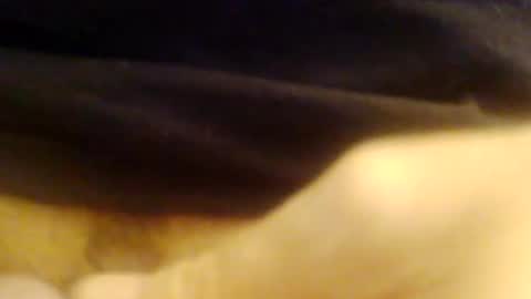 Snapshot of jepn1112 chatting on 12/09/24, 09:05 JoeEBear online show from 12/09/24, 09:05