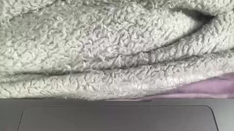 jerking1981 online show from 01/01/25, 04:50