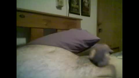 jerkmate6666 online show from 10/14/25, 02:34