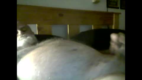 Snapshot of jerkmate6666 chatting on 05/09/26, 03:56 jerkmate6666 online show from 05/09/26, 03:56