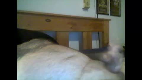 Snapshot of jerkmate6666 chatting on 05/15/26, 12:50 jerkmate6666 online show from 05/15/26, 12:50