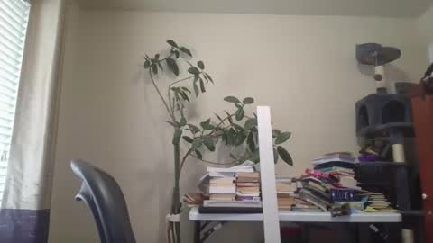 JRock online show from 12/17/25, 04:24